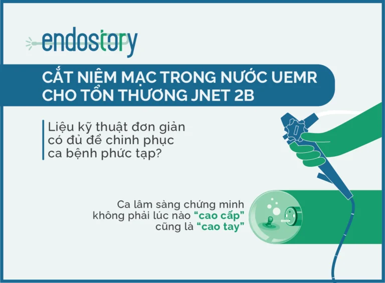 [ENDOSTORY #3] UEMR for JNET 2B lesion – A simple technique conquering a difficult case: Is “advanced” always “skillful”?