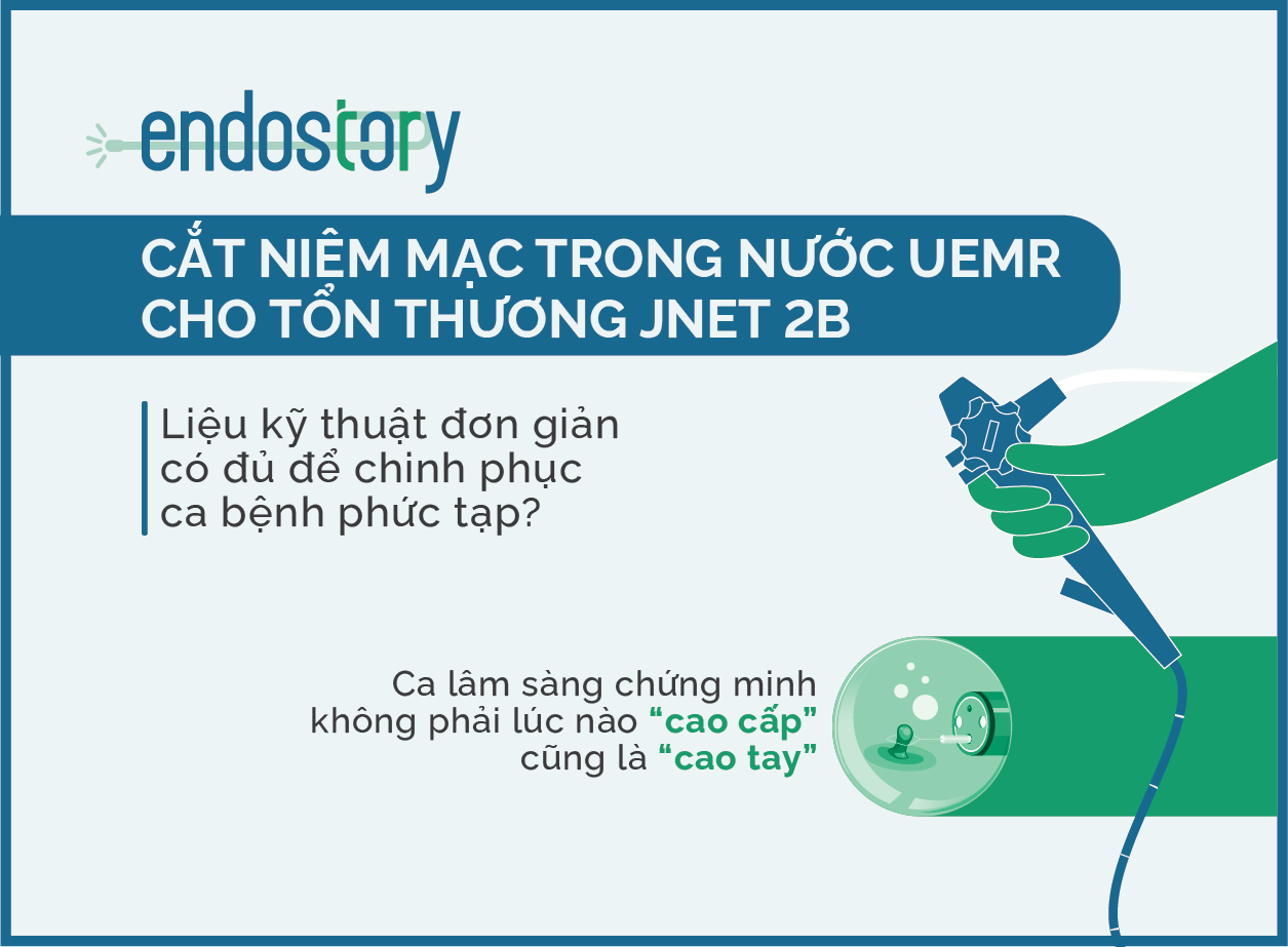 Endostory so 3